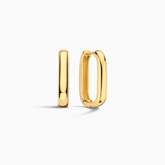 Boucles d'oreilles cercle Icon | Or
